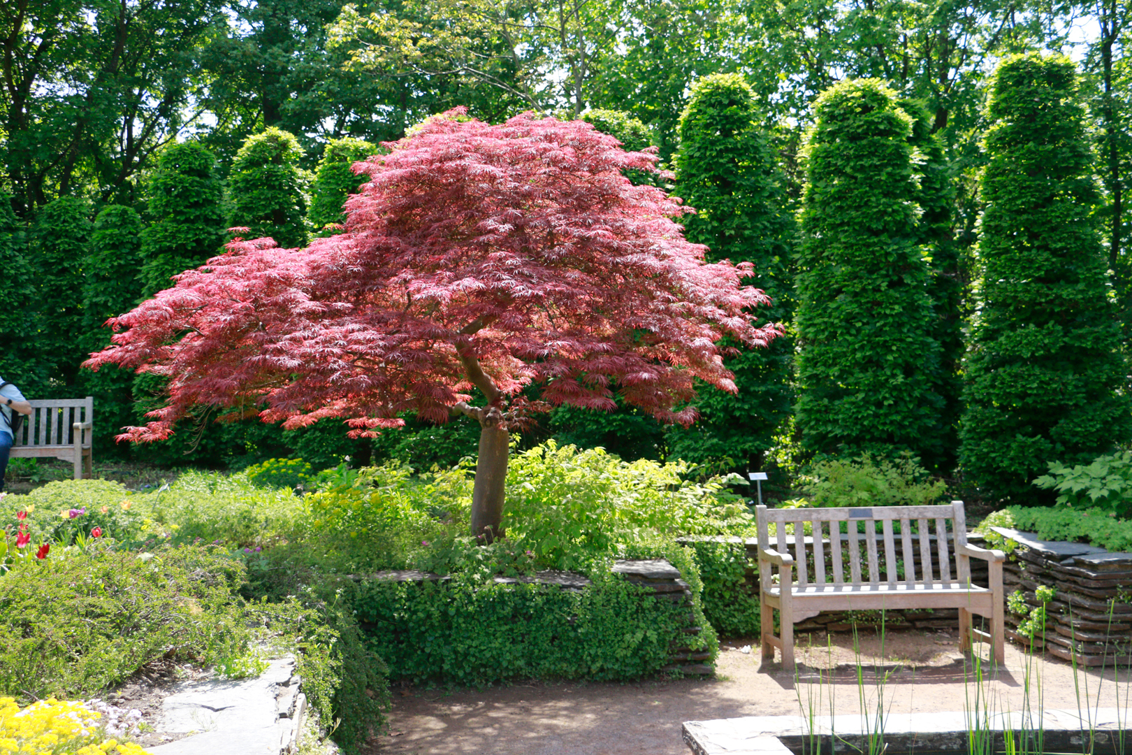 BritzerGarten 05